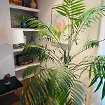 Appartement Casa Lola