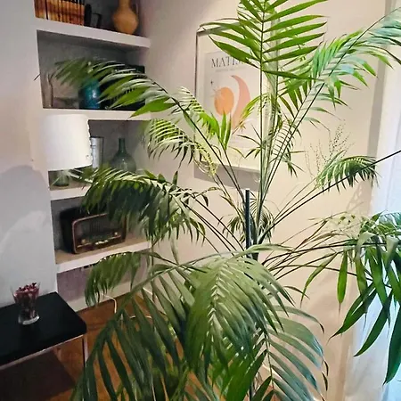 דירה Casa Lola
